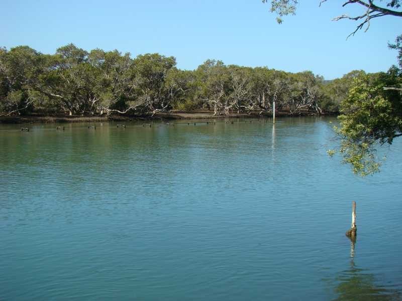 36 Camden Head Road, Dunbogan NSW 2443