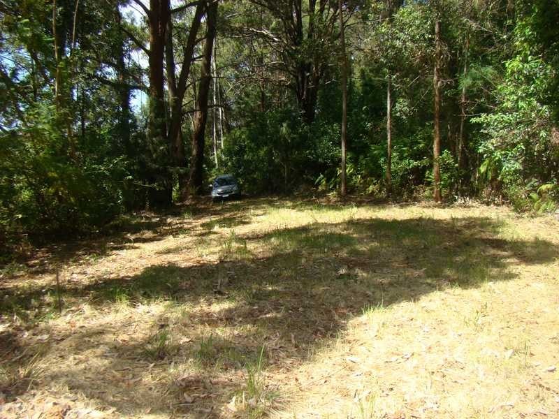 Johns River NSW 2443