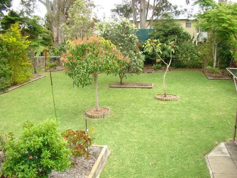 49 Longworth Road, Dunbogan NSW 2443