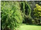 14 Waterview Crescent, Laurieton NSW 2443
