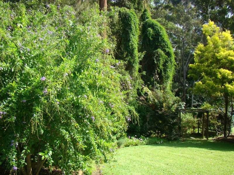 14 Waterview Crescent, Laurieton NSW 2443