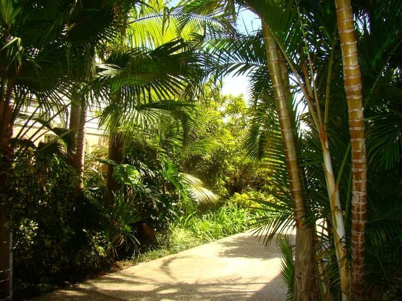 19 Bayside Avenue, North Haven NSW 2443