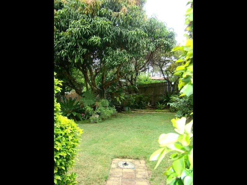 Kendall NSW 2439