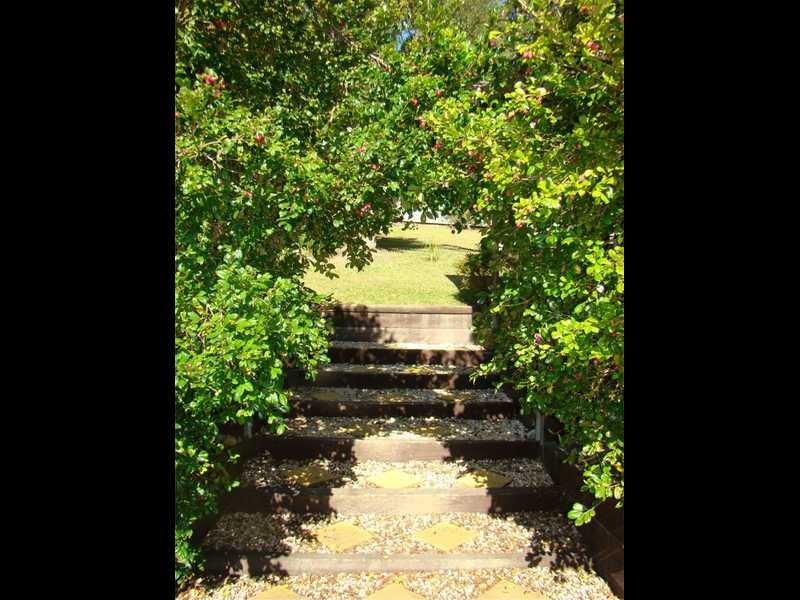 7 Cheesetree Place, Laurieton NSW 2443