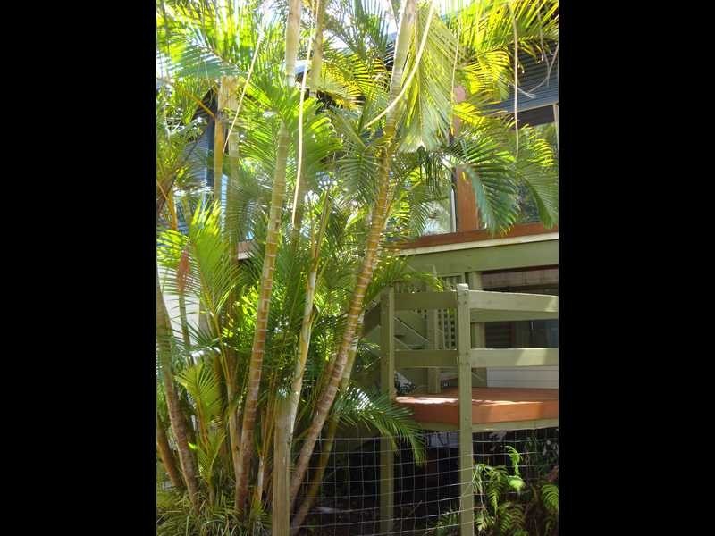 19 Bayside Avenue, North Haven NSW 2443