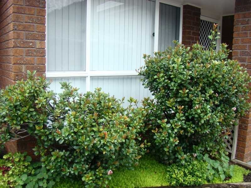 2/19-21 Flinders Drive, Laurieton NSW 2443