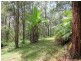 Kew NSW 2439