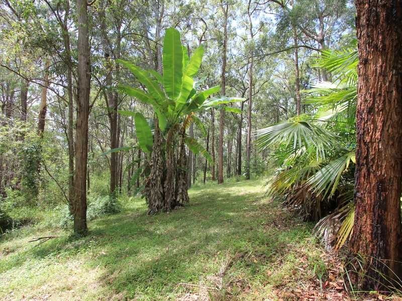 Kew NSW 2439