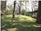 Kew NSW 2439
