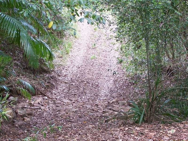 Johns River NSW 2443