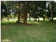 Dunbogan NSW 2443