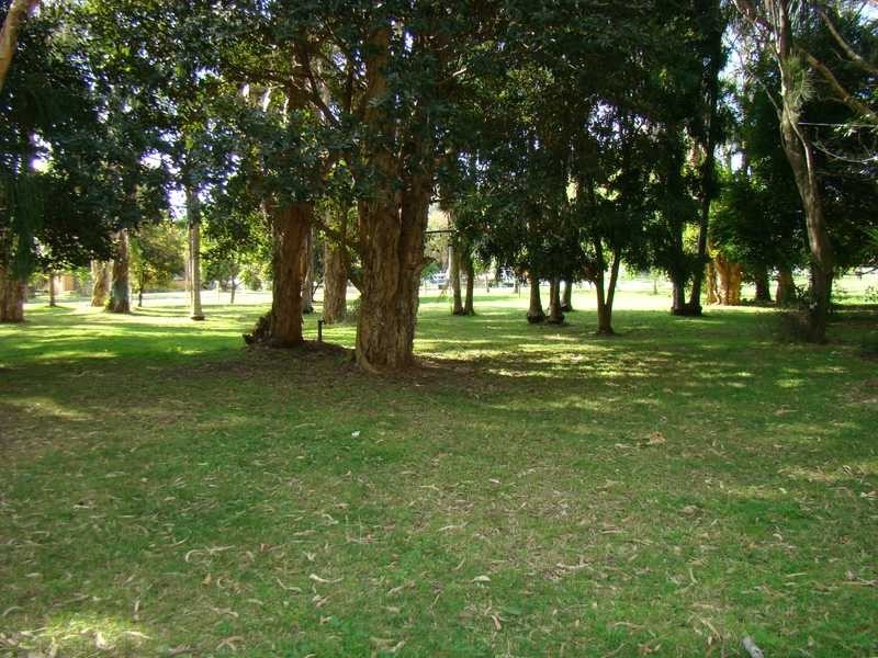 Dunbogan NSW 2443