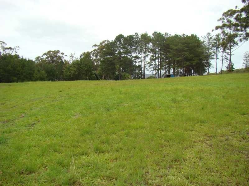 107 Ocean Drive, Kew NSW 2439