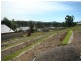 Laurieton NSW 2443