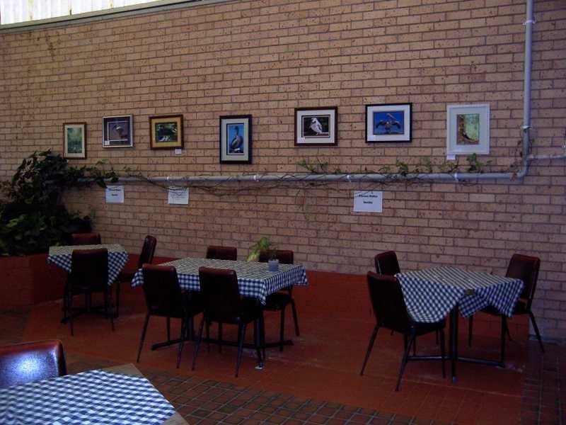 Laurieton NSW 2443