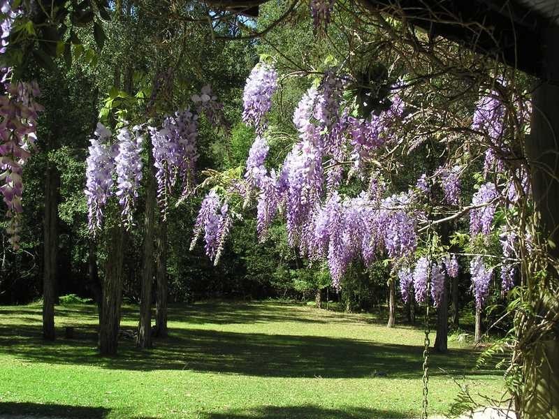 25 Forest Glen Road, Kendall NSW 2439