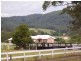 Logans Crossing NSW 2439