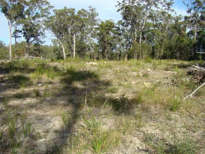 Kew NSW 2439