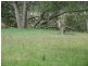 Dunbogan NSW 2443