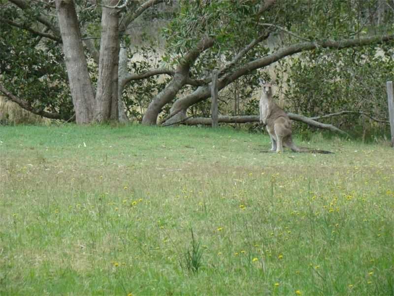 Dunbogan NSW 2443