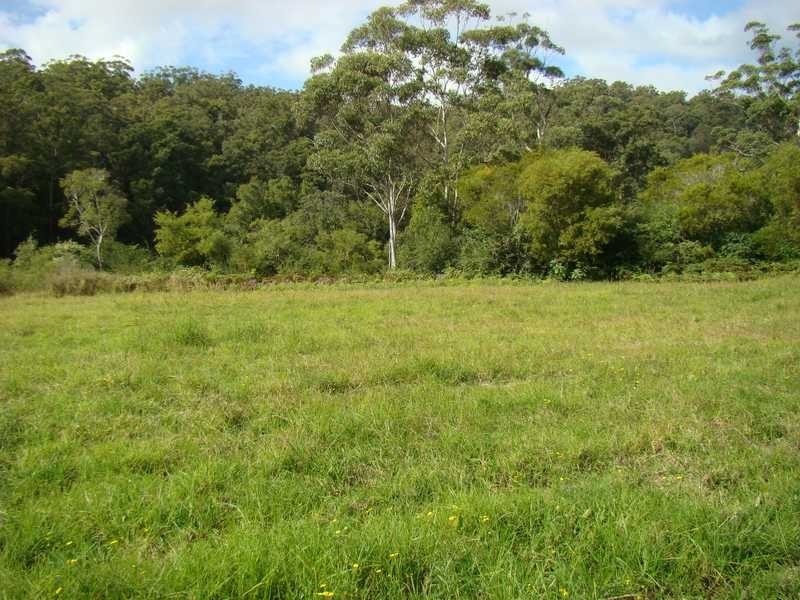 Logans Crossing NSW 2439