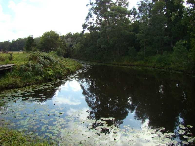 Logans Crossing NSW 2439