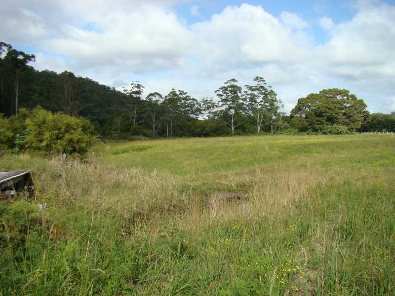 Logans Crossing NSW 2439