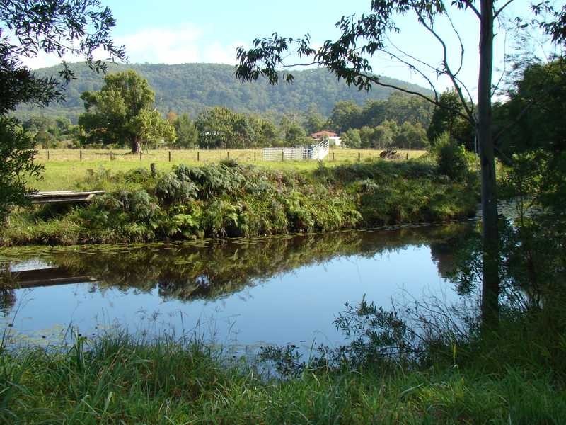 Logans Crossing NSW 2439