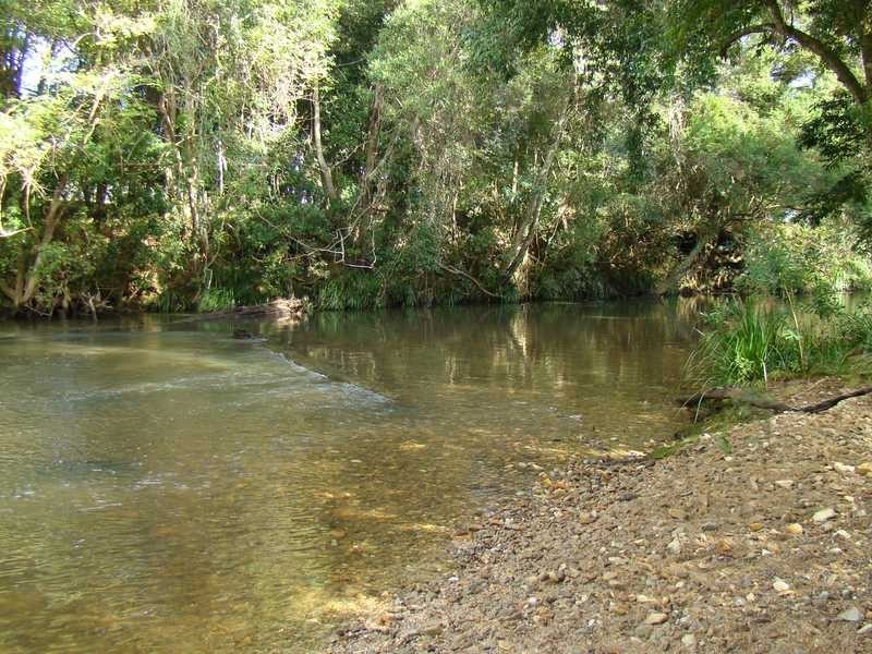 Logans Crossing NSW 2439