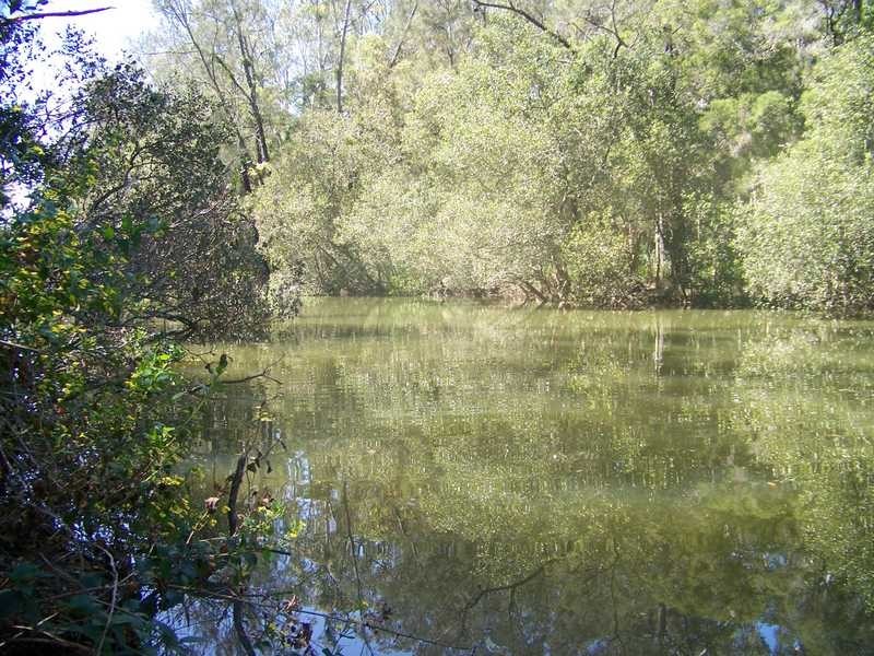 Johns River NSW 2443