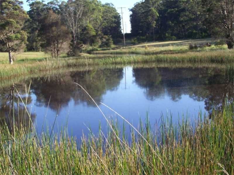 67 Miles Drive, Herons Creek NSW 2443