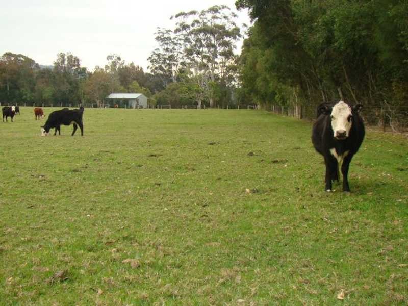 Johns River NSW 2443