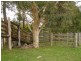 Johns River NSW 2443
