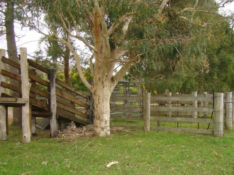 Johns River NSW 2443