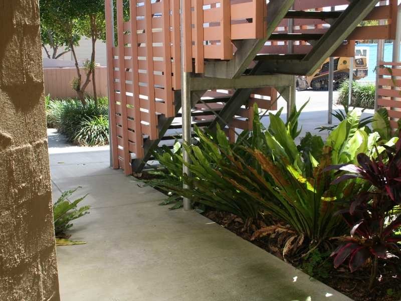 21 Mainwaring, Casuarina NSW 2487