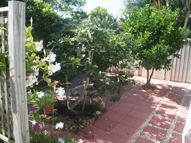 598 Casuarina Way, Casuarina NSW 2487