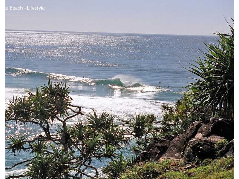 121 Hastings Road, Cabarita Beach NSW 2488