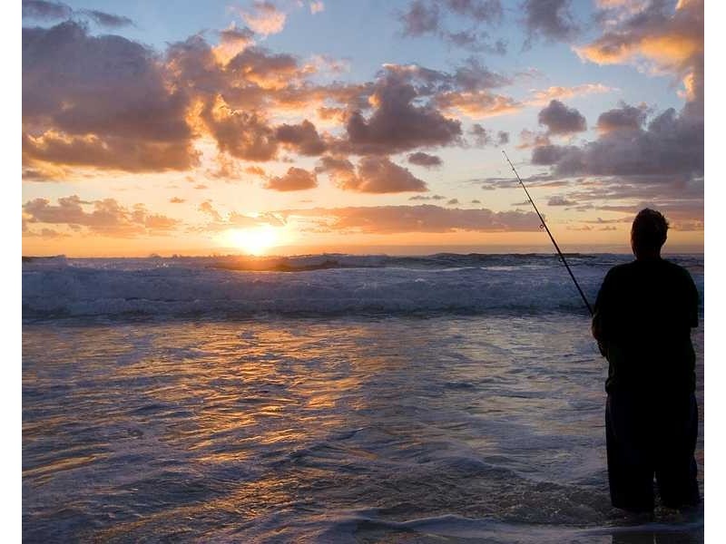 Shops 2-14 The Beach 2-6 Pandanus Parade, Cabarita Beach NSW 2488