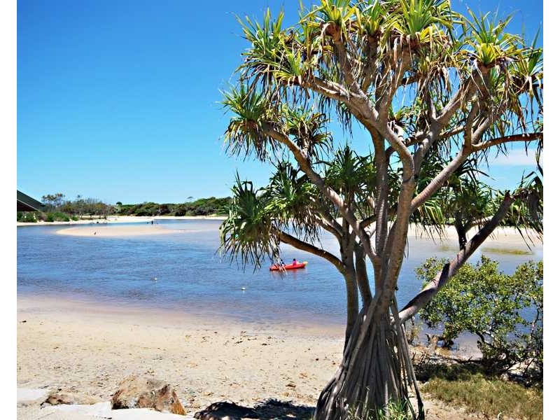 3/3 Peninsula Street, Hastings Point NSW 2489