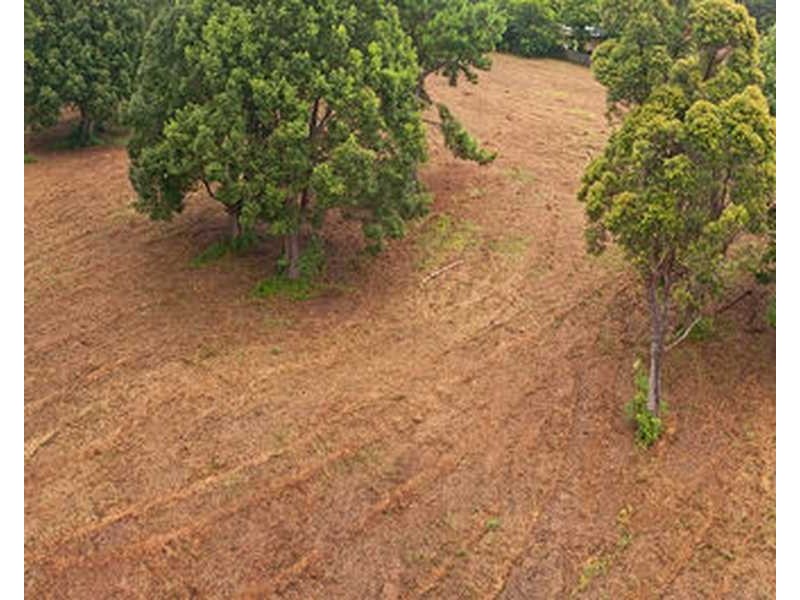 Lot 4 Tree Street, Murwillumbah NSW 2484