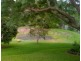 Farrants Hill NSW 2484