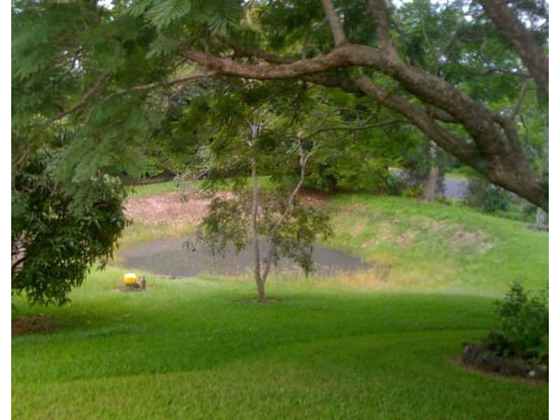 Farrants Hill NSW 2484
