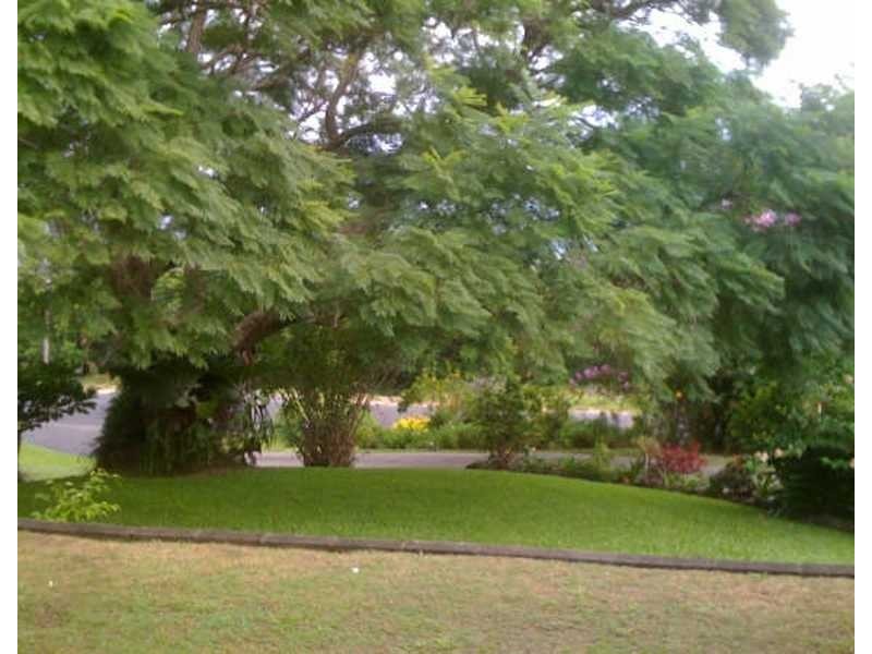 Farrants Hill NSW 2484