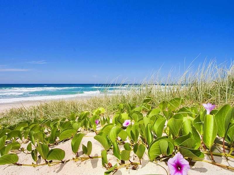 Unit 3, 201 Zen Murphys Road, Kingscliff NSW 2487