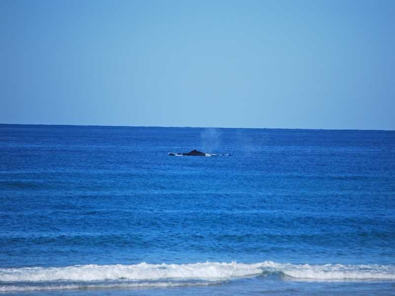 11 Cylinders Drive, Kingscliff NSW 2487