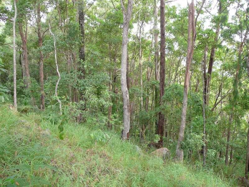 76 Honeydew Place, Ninderry QLD 4561