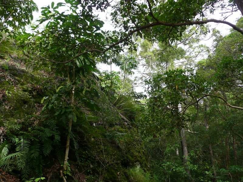 76 Honeydew Place, Ninderry QLD 4561