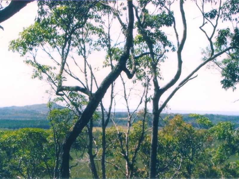 18 Leichhardt Drive, Yandina Creek QLD 4561