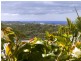 86 Centenary Heights Road, Coolum Beach QLD 4573