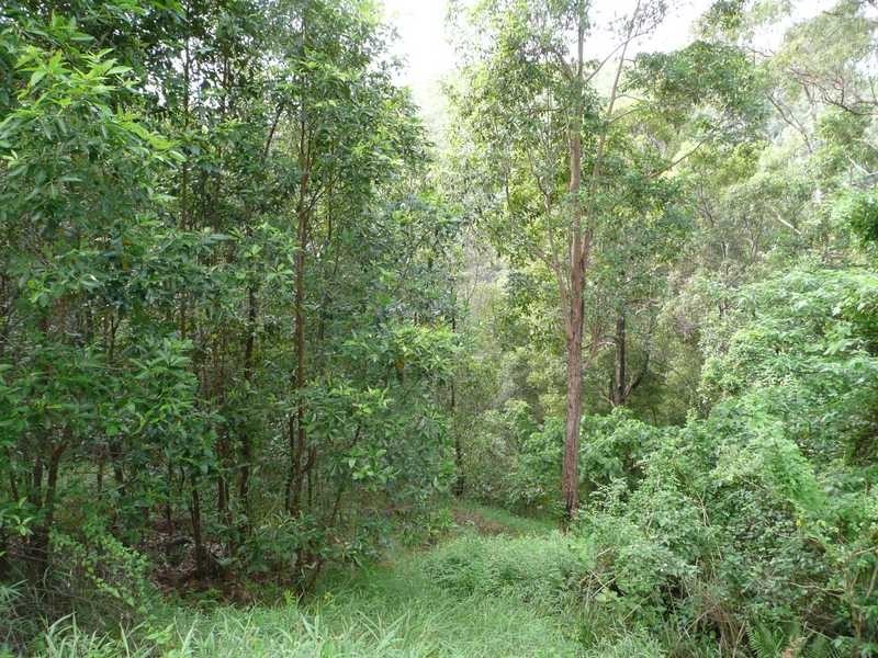 65 Honeydew Place, Ninderry QLD 4561